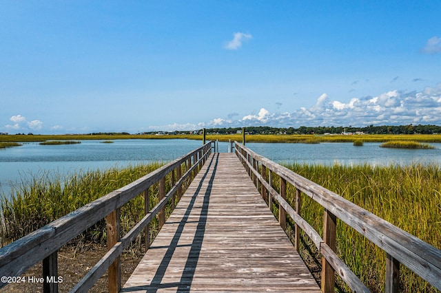 dock area with a water view