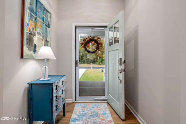 entrance foyer featuring light wood-type flooring