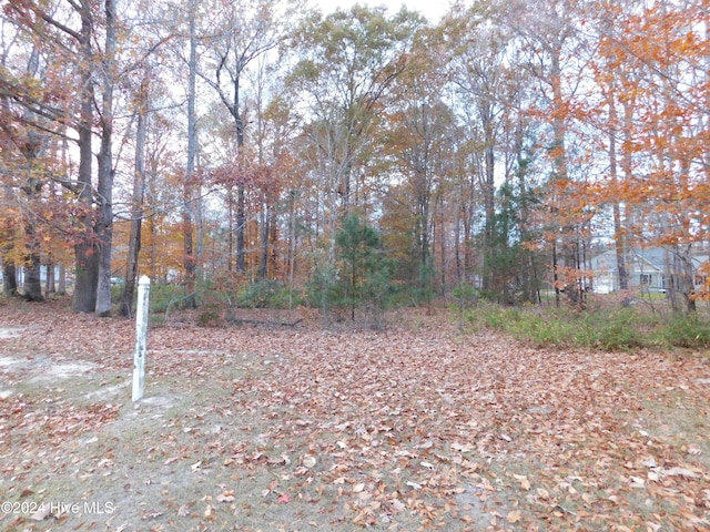 346 See View Ln, Hertford NC, 27944 land for sale