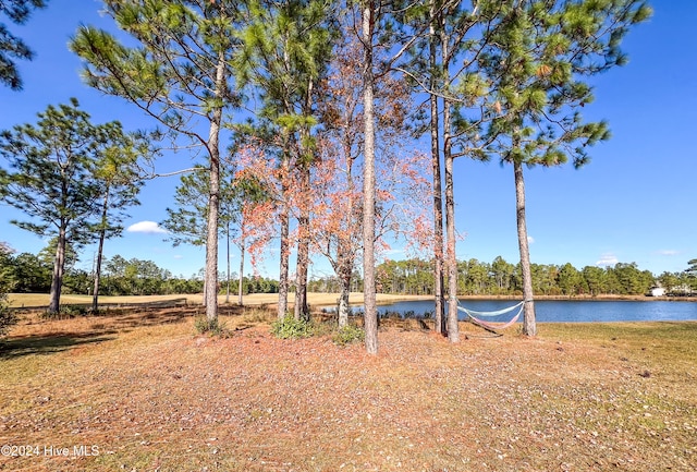 view of yard featuring a water view