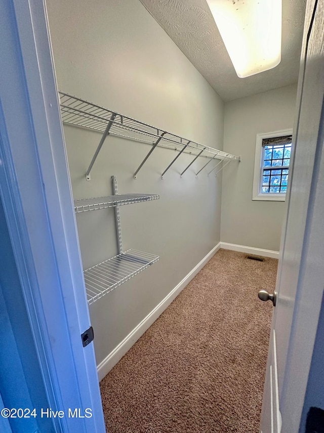 walk in closet featuring carpet