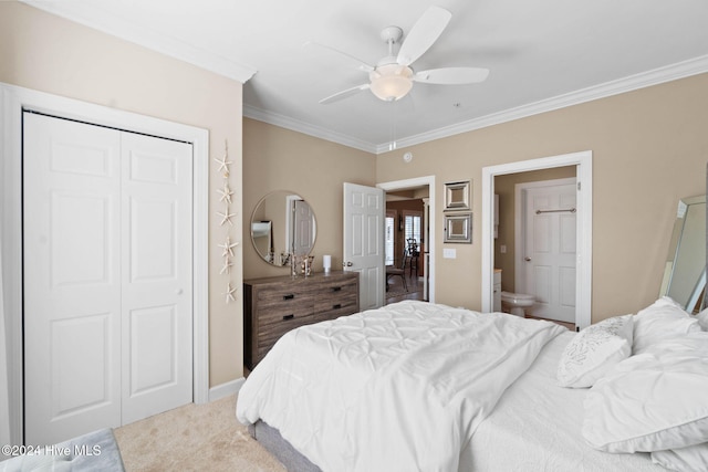 carpeted bedroom featuring ceiling fan, crown molding, connected bathroom, and a closet