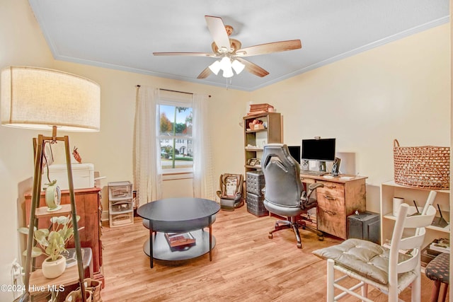 office area with light hardwood / wood-style floors, ceiling fan, and ornamental molding