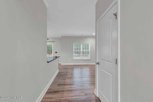 hallway featuring wood-type flooring and ornamental molding