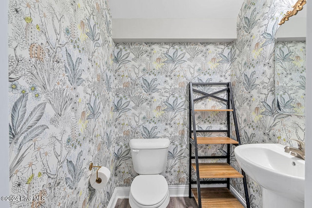 bathroom featuring sink, wood-type flooring, and toilet