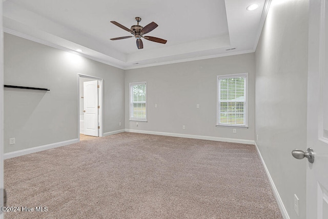 carpeted empty room with plenty of natural light, ceiling fan, a raised ceiling, and ornamental molding