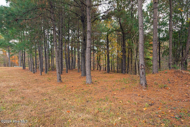 view of landscape