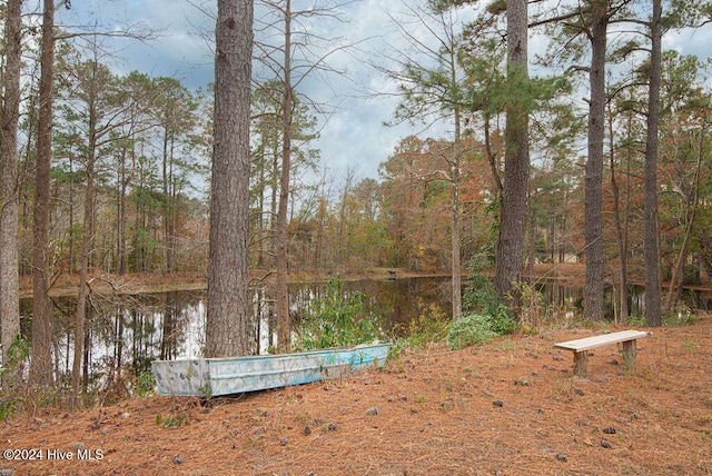 view of yard with a water view