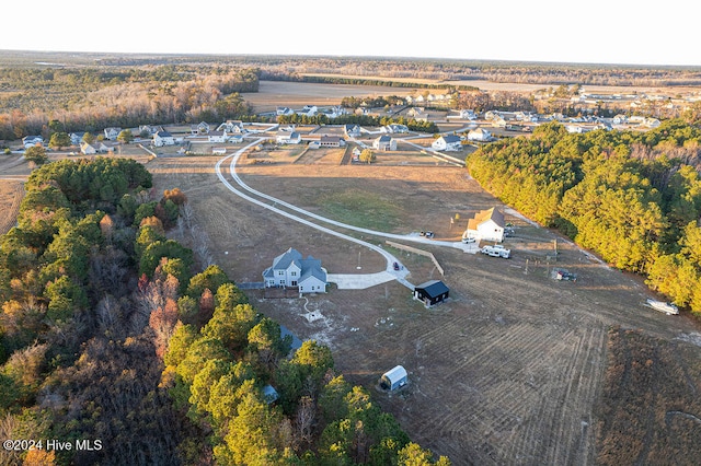 aerial view