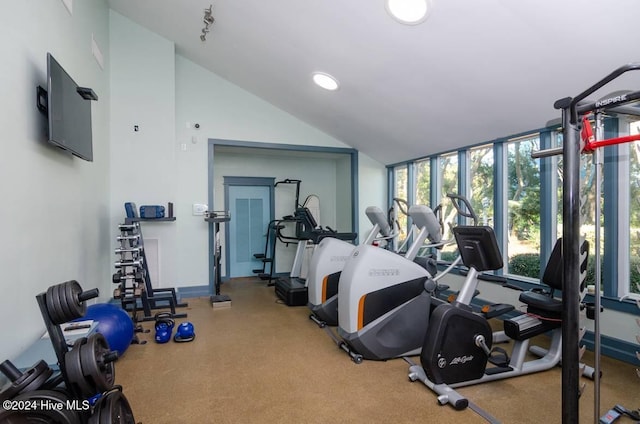 exercise room featuring lofted ceiling