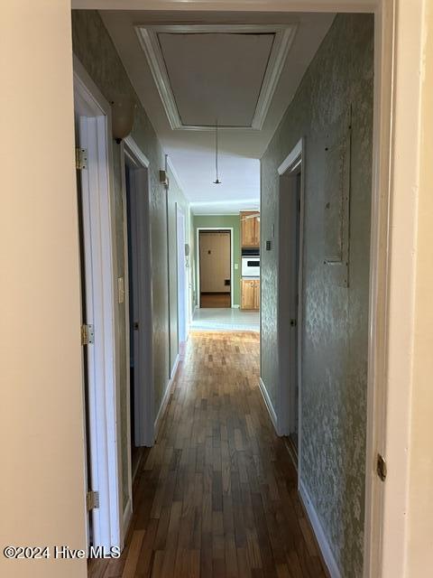 hallway featuring crown molding and dark wood-type flooring