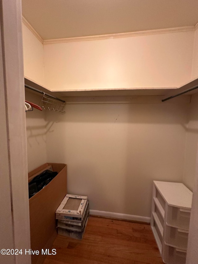 spacious closet featuring dark wood-type flooring