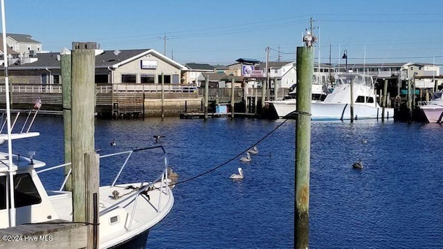 dock area with a water view