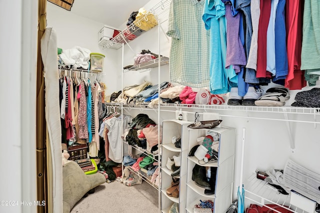 spacious closet featuring carpet flooring