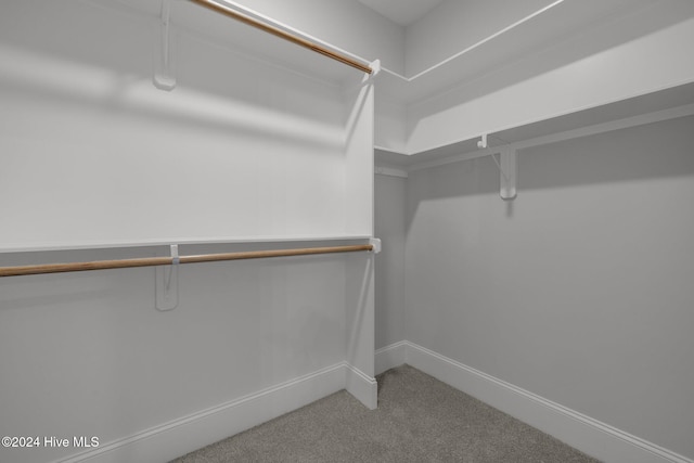 walk in closet with carpet