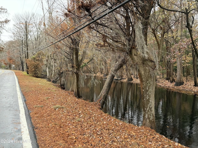 view of road with a water view