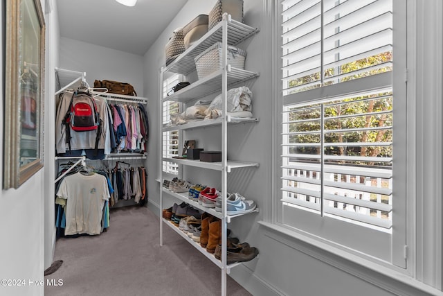 walk in closet with carpet