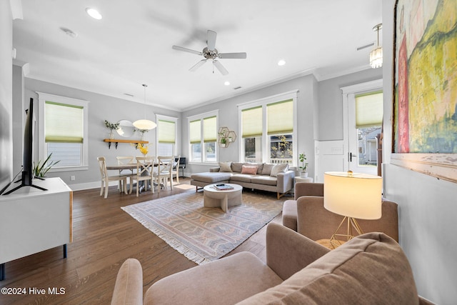 living room with dark hardwood / wood-style floors, ceiling fan, and crown molding