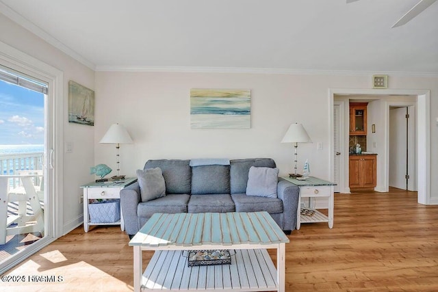 living room with crown molding and light hardwood / wood-style flooring