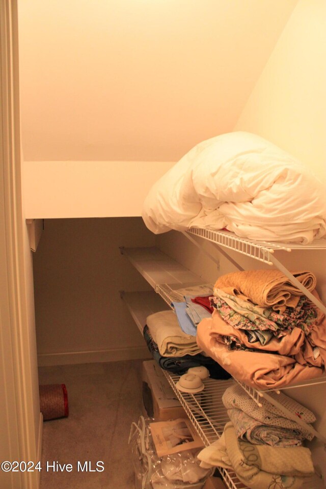 spacious closet featuring carpet flooring