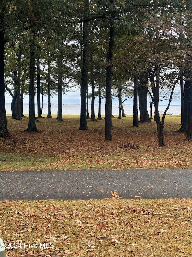 view of street with a water view