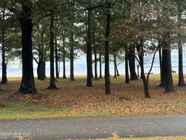 view of road with a water view