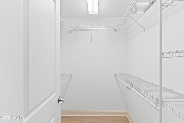 walk in closet with light hardwood / wood-style flooring