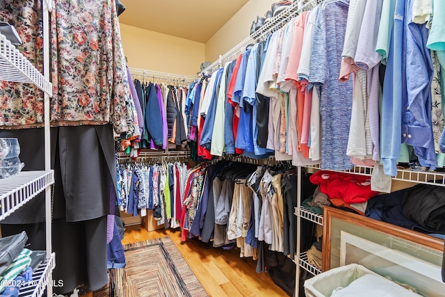 spacious closet featuring wood-type flooring