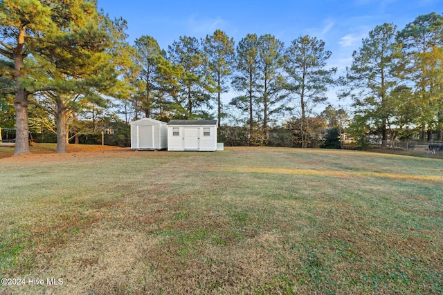 view of yard featuring a storage shed