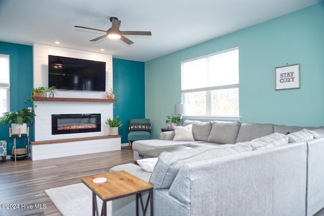 living room with ceiling fan, dark hardwood / wood-style floors, and a fireplace