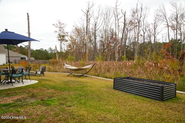 view of yard featuring a patio