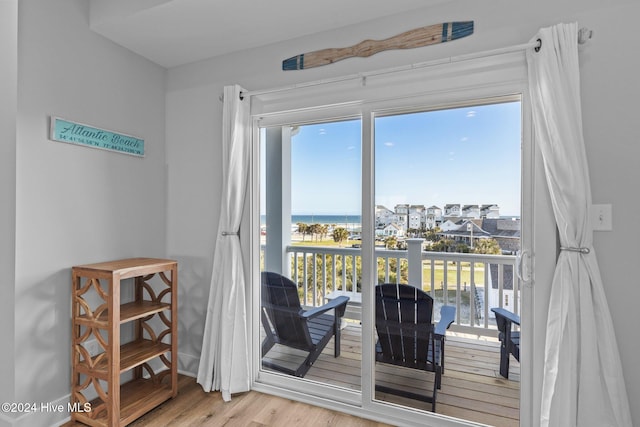 doorway featuring a healthy amount of sunlight, a water view, and light hardwood / wood-style floors