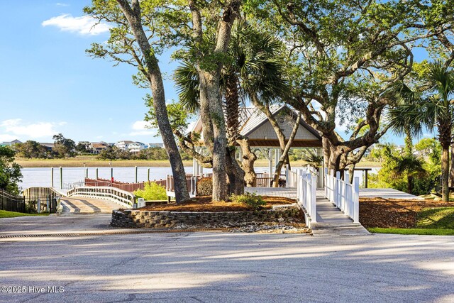 view of home's community with a water view