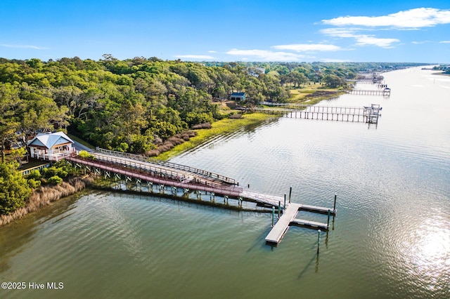 bird's eye view with a water view and a wooded view