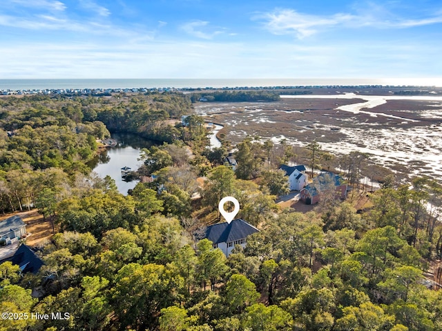 birds eye view of property with a view of trees and a water view