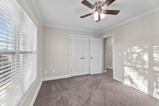 unfurnished bedroom featuring ceiling fan, a closet, carpet, and ornamental molding