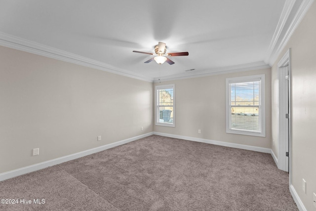 empty room featuring carpet flooring, a healthy amount of sunlight, and crown molding