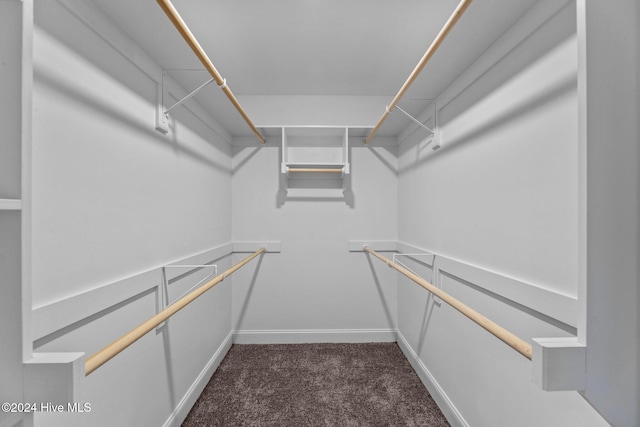 spacious closet with dark carpet