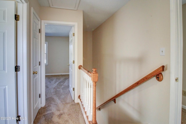 hall featuring light colored carpet