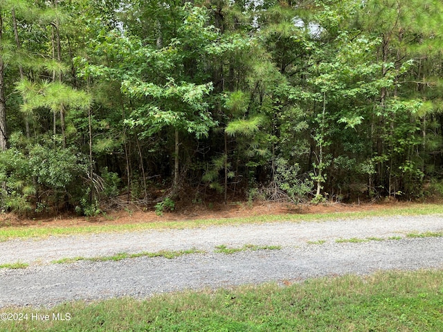 Listing photo 2 for LOT3 Kings Land Ct, Gates NC 27937