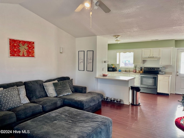 living room featuring a textured ceiling, ceiling fan, sink, dark hardwood / wood-style floors, and lofted ceiling