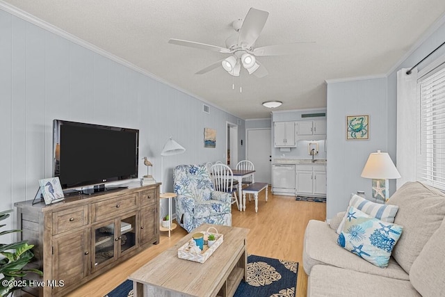 living room with crown molding, sink, a textured ceiling, and light wood-type flooring