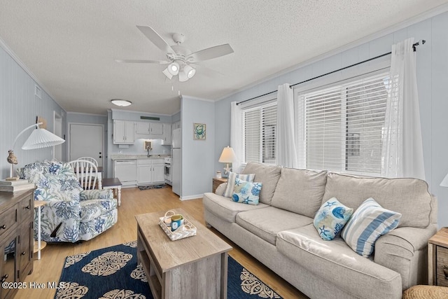 living room with sink, ornamental molding, ceiling fan, light hardwood / wood-style floors, and a textured ceiling