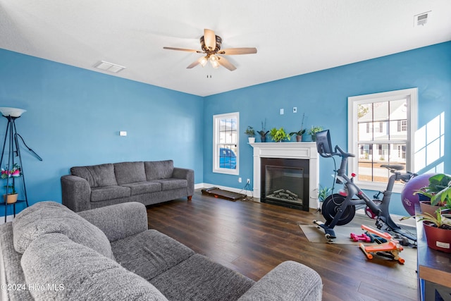 living room featuring ceiling fan and dark hardwood / wood-style flooring