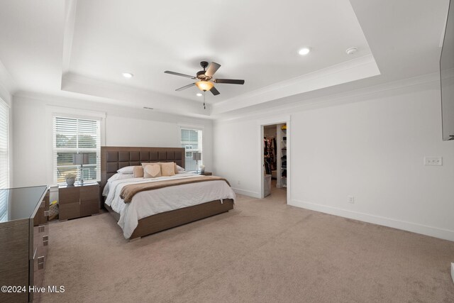 carpeted bedroom featuring ceiling fan, a raised ceiling, and a spacious closet