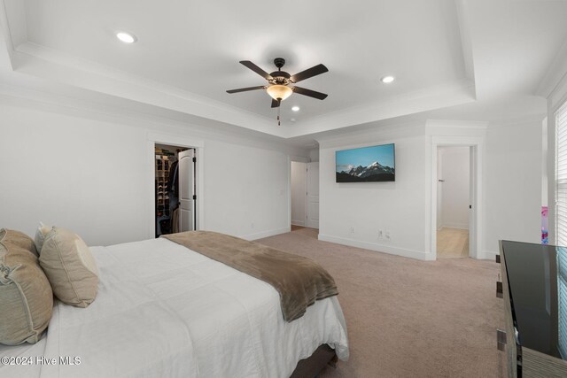 carpeted bedroom featuring a closet, ceiling fan, a spacious closet, and a tray ceiling