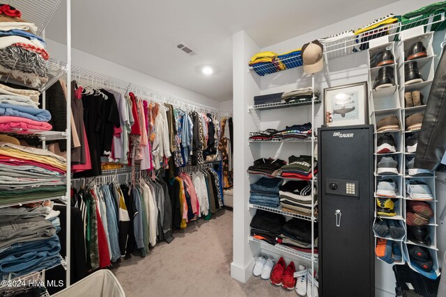 spacious closet featuring carpet