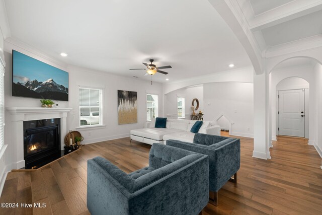 living room with ceiling fan, hardwood / wood-style floors, and crown molding