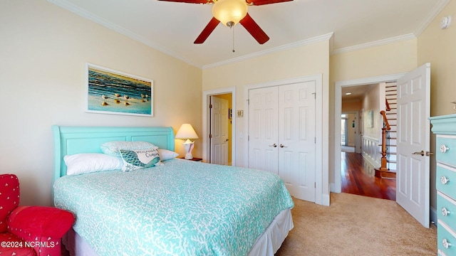 carpeted bedroom featuring a closet, ceiling fan, and crown molding