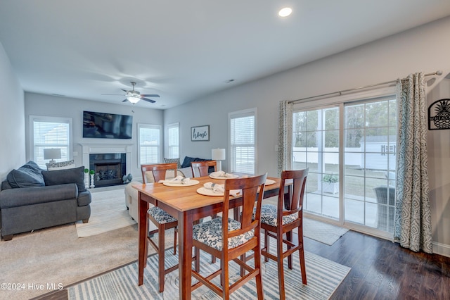 dining area featuring ceiling fan, a healthy amount of sunlight, and wood-type flooring